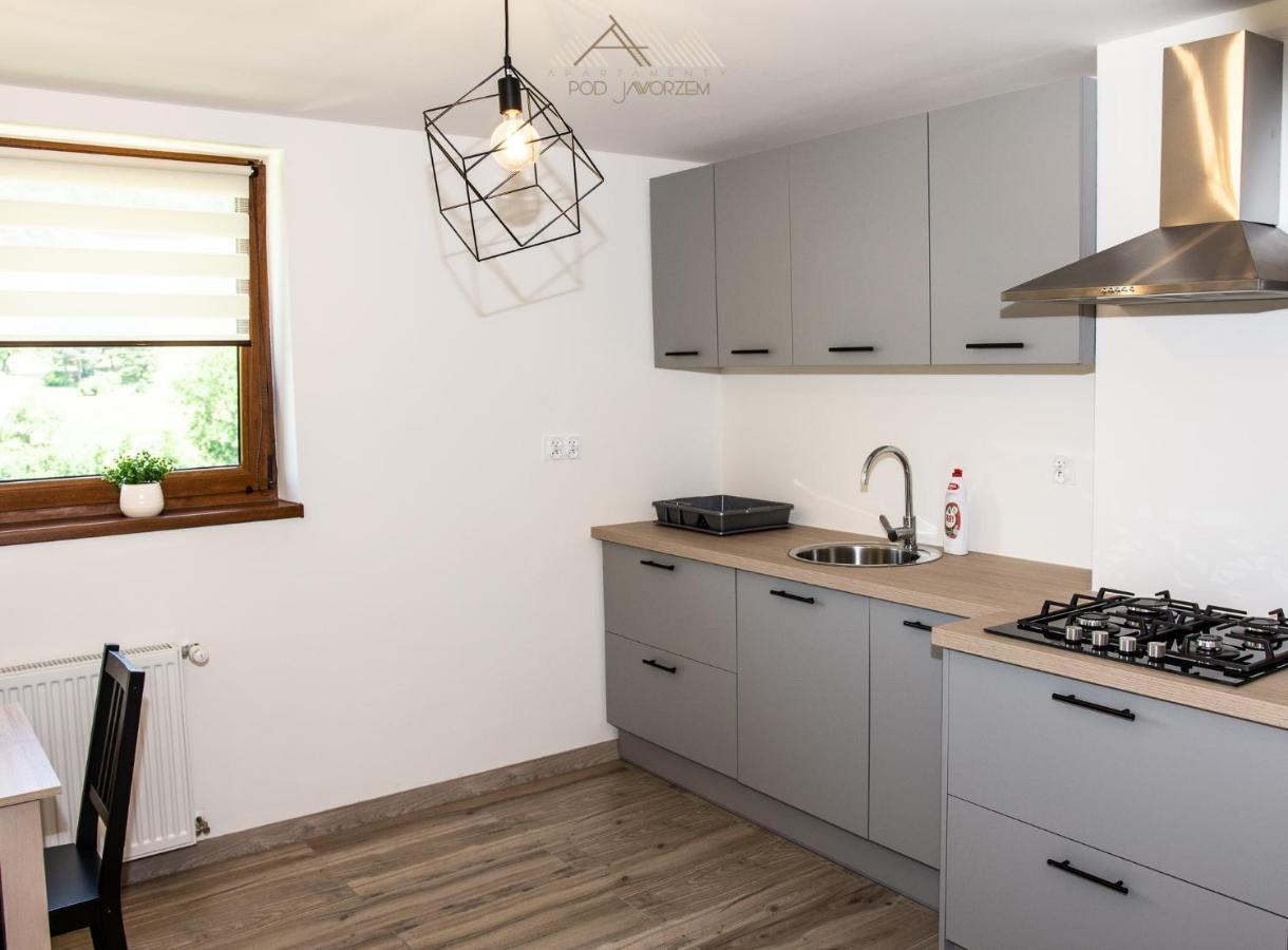 Apartamenty Pod Jaworzem Ptaszkowa Ngoại thất bức ảnh